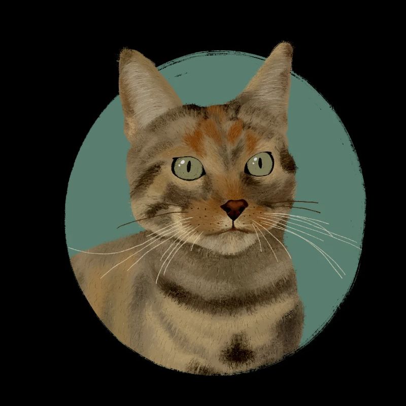 Chat tigré brun