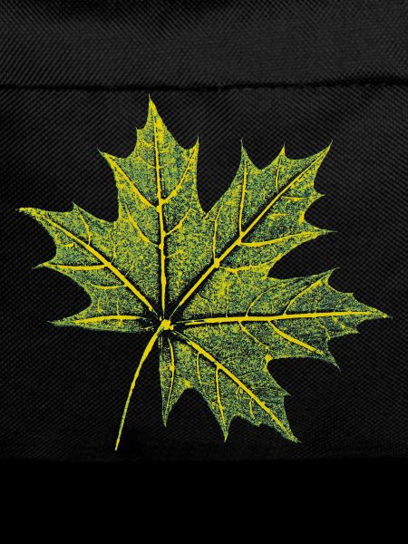 Maple Leaf - Forest & Nature BOTANIK