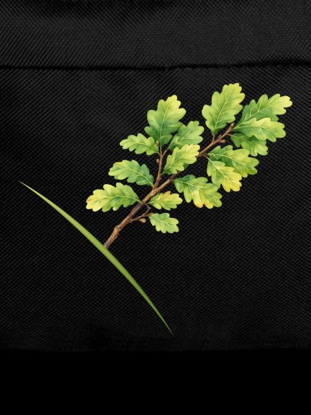 Leaf Branch Oak - Aquarelle