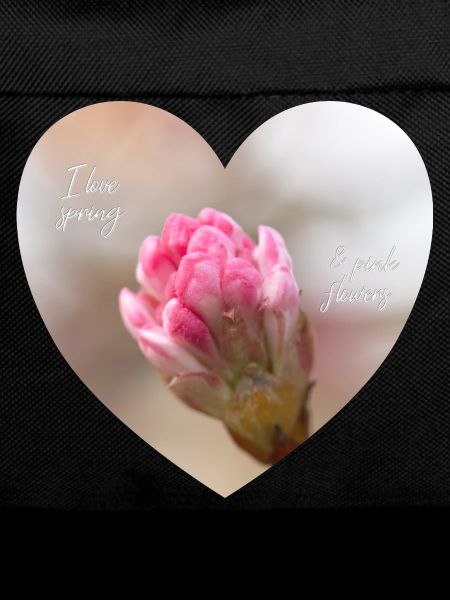 Spring love a pink blossom heart