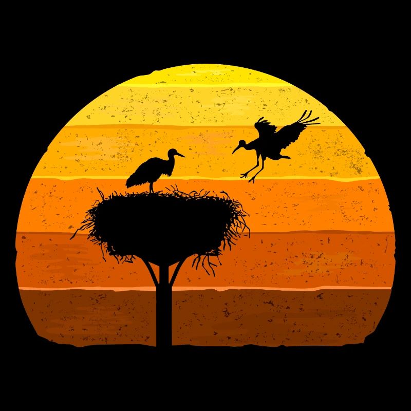 Stork, Nest, Storks, Sunset Bird Flight