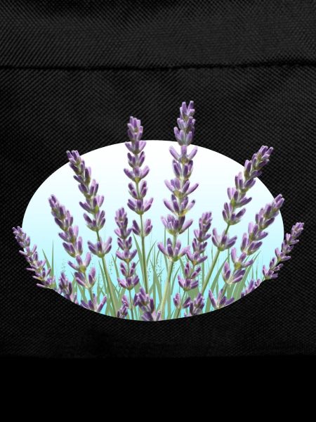 Lavender Lavender Stalks Lavender Field