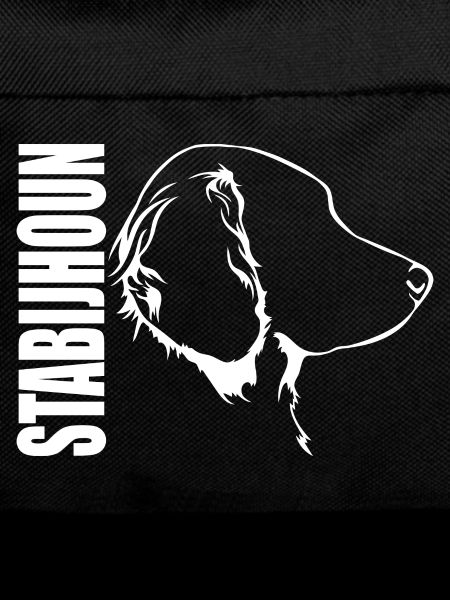 Stabijhoun Profile Dogs Dog Wilsigns