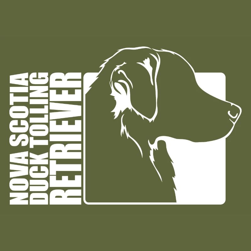 Nova Scotia Duck Tolling Retriever Profile Wilsigns