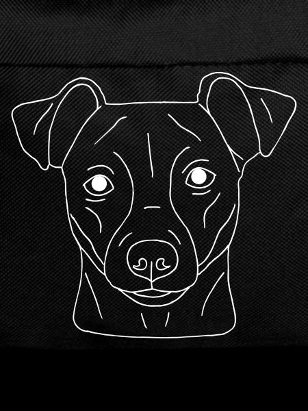 Jack Russell Terrier