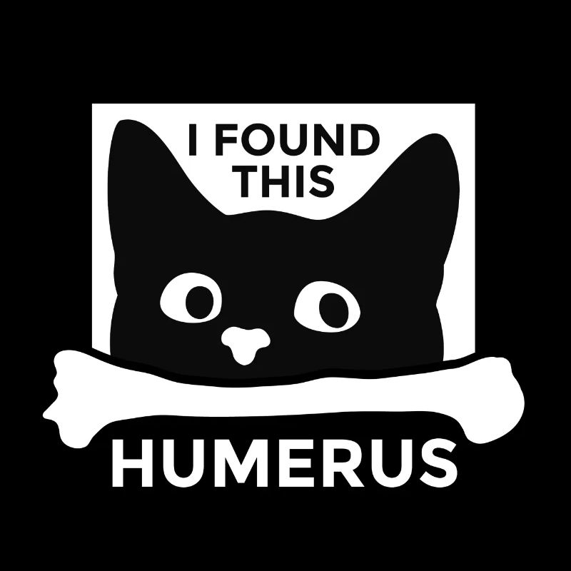 Humour de jeu de mots drôle avec des chats, la gueule de bois, des chatons
