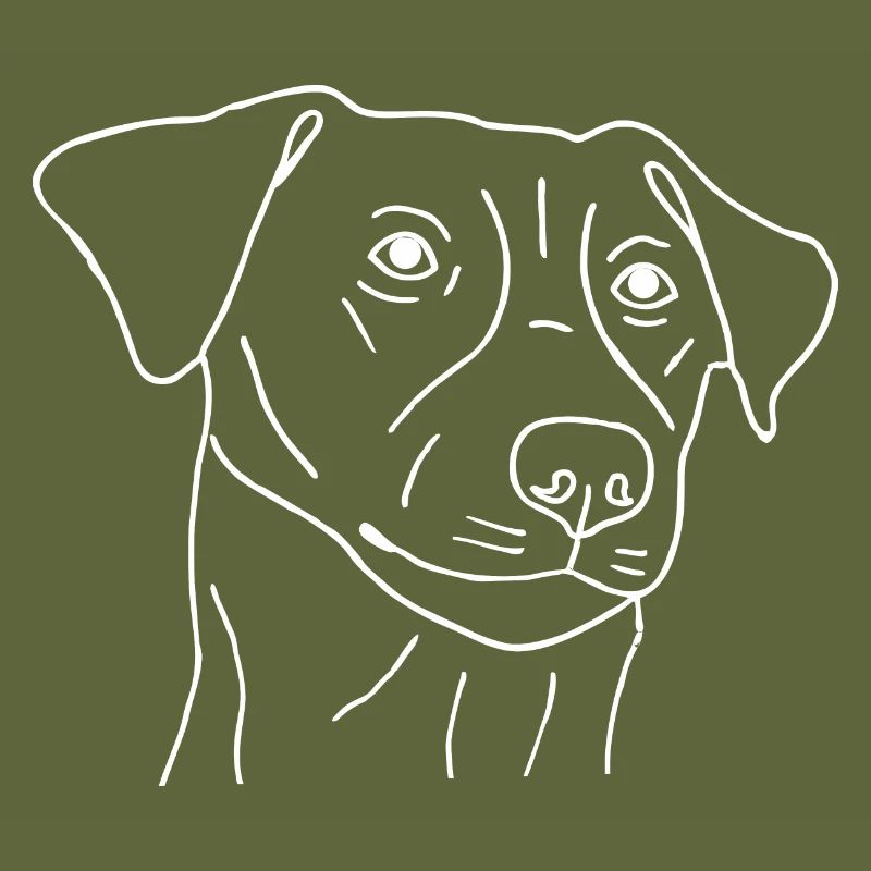 Jack Russell Terrier