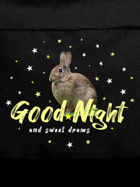 Good Night Hare Rabbit