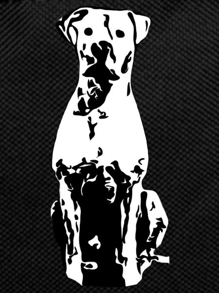 Dogo Argentino