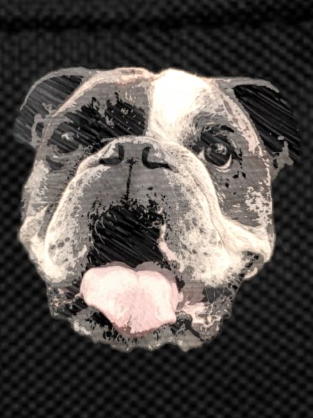 Bouledogue