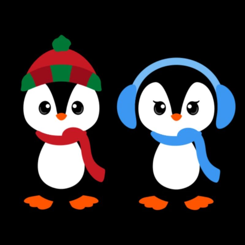 Mr & Mrs Pingu