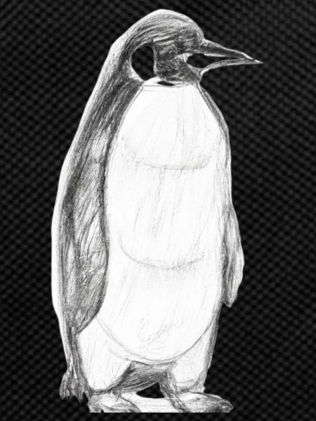 Penguin Illustration