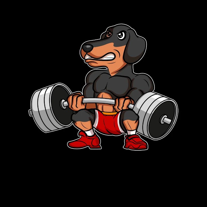 Teckel Teckel Musculation