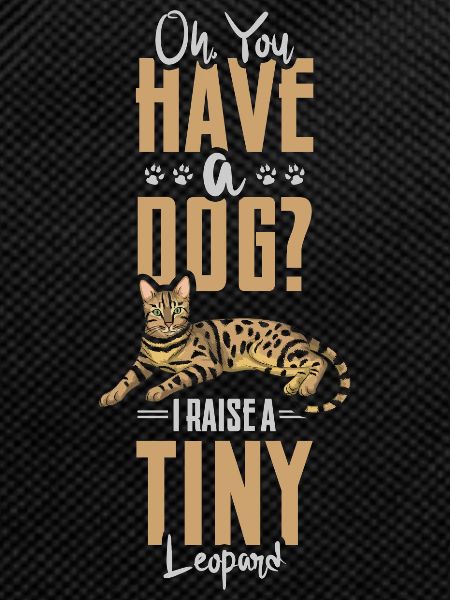 Chat du Bengale