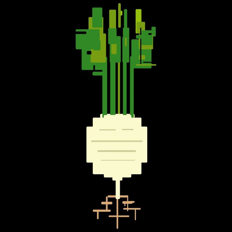 Kohlrabi