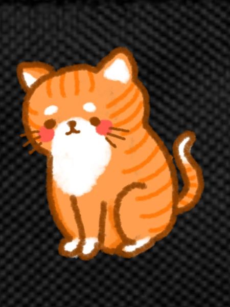 ginger cat