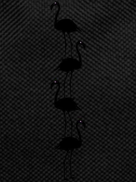 Flamingos Animals