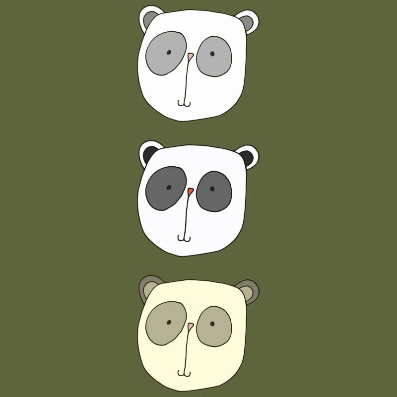 koala brüder