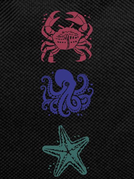 Crab, octopus and starfish