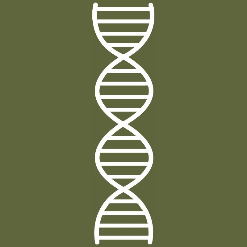 DNA Double Strand