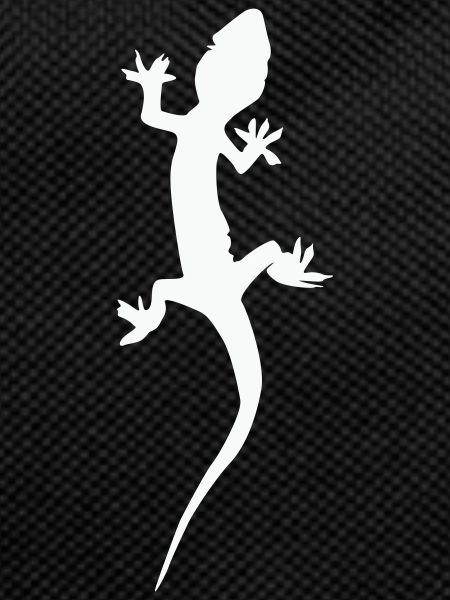 Gecko Lizard