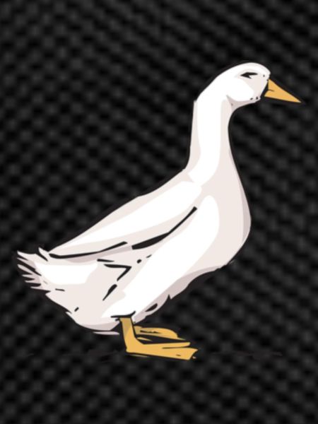 goose