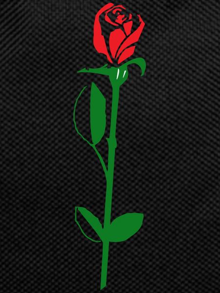 fleur de rose
