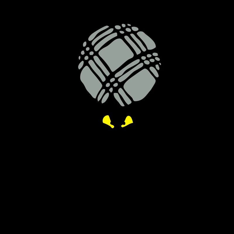 petanque araigne ball