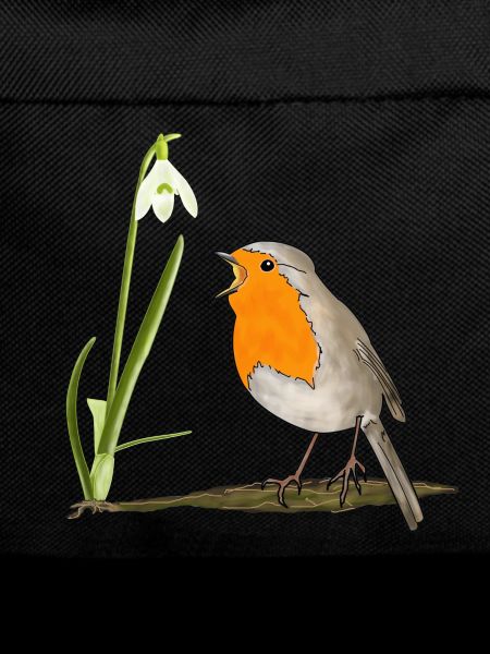 Spring, robins, snowdrops