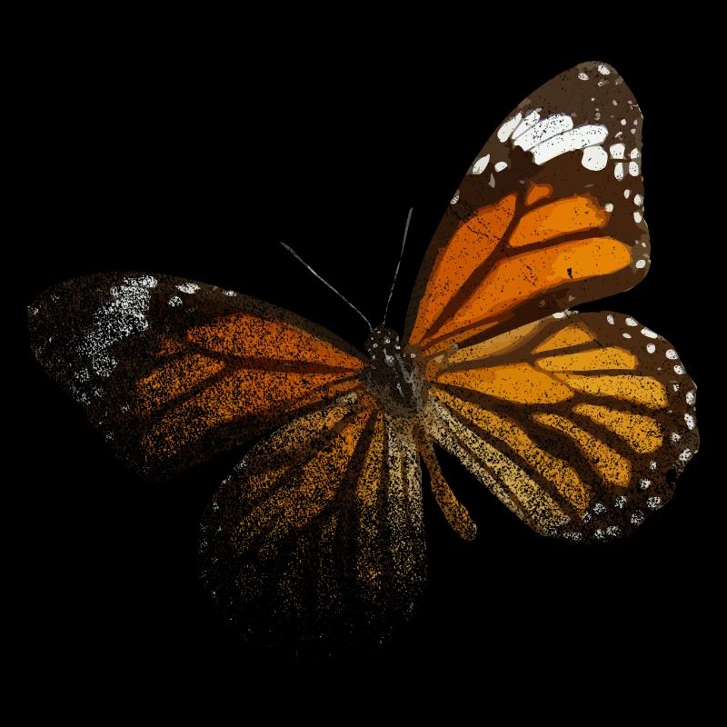 Schöner Schmetterling