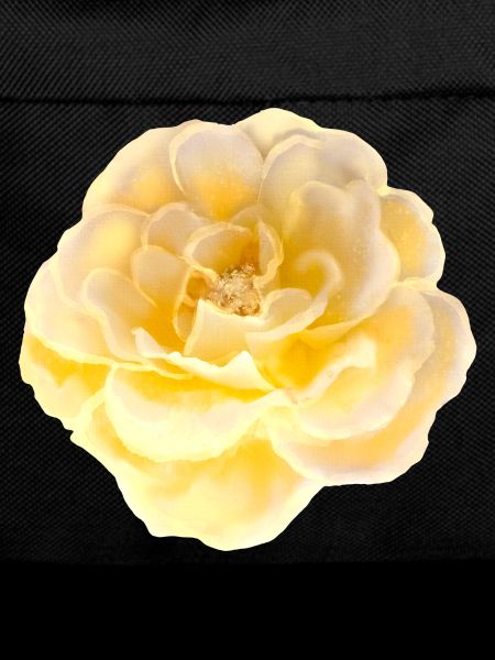 Rose Flower