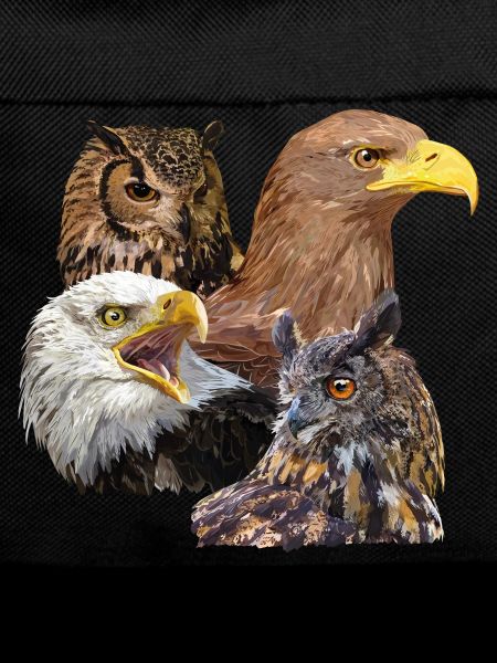 Raptors