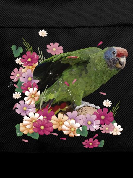 The Red-tailed Parrot