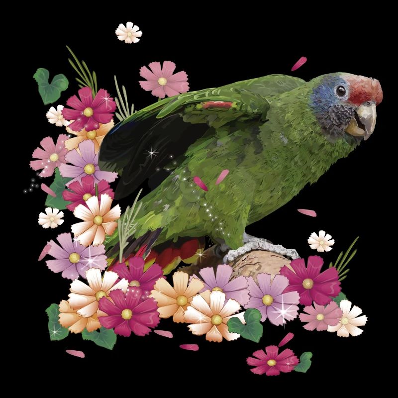The Red-tailed Parrot
