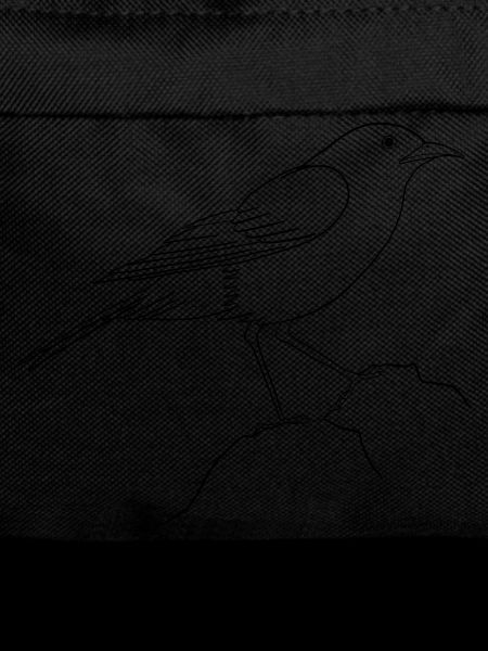 Day of the Bird