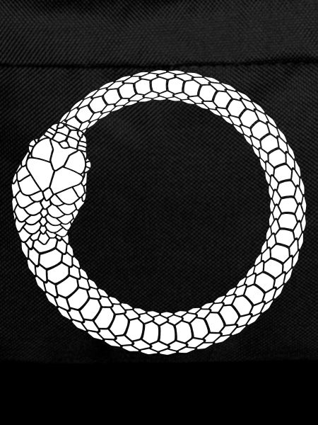 Ouroboros Snake Ring Circle