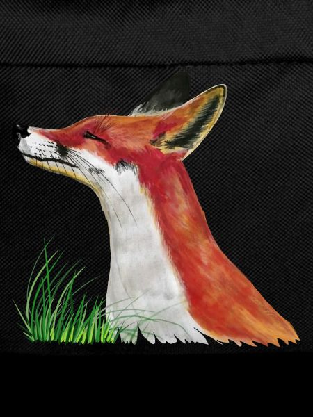 Fuchs schnuppert im Gras
