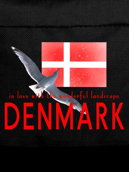 Dänemark Möwe