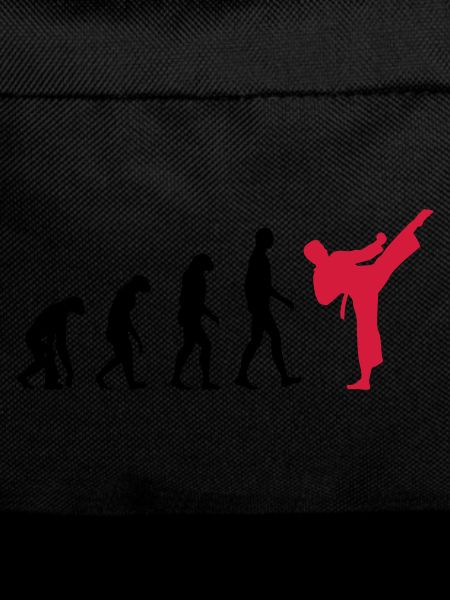 Karaté - Evolution