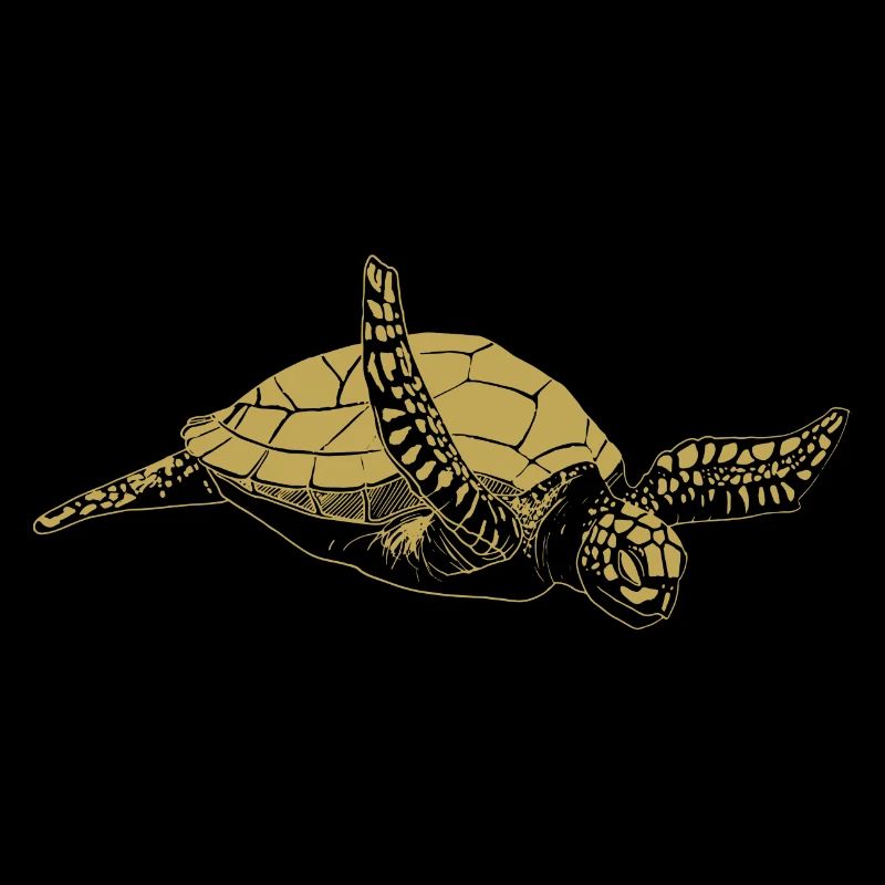Illustrated designs with turtle