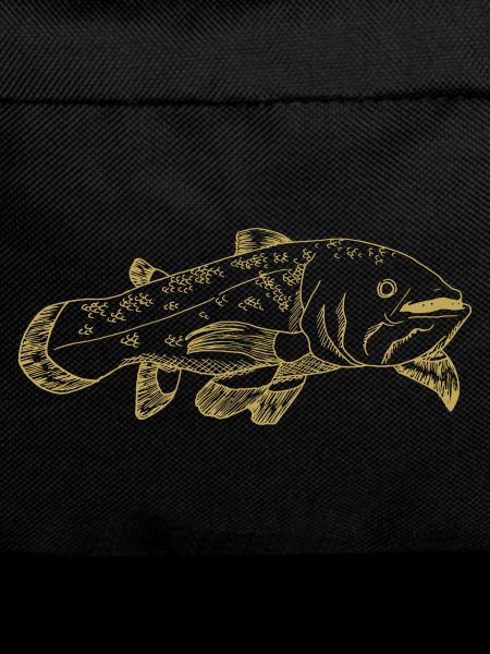Illustrated designs with coelacanth
