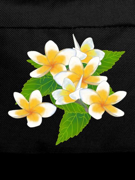 Frangipani