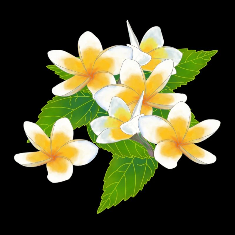 Frangipani