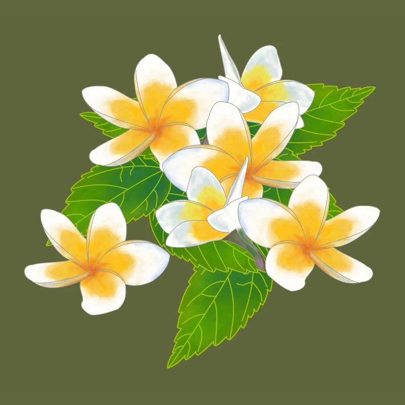 Frangipani