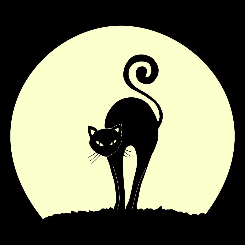 black cat at full moon