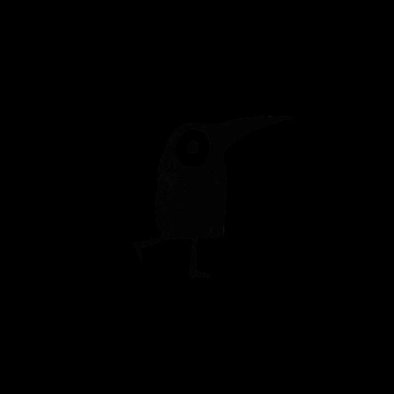funny birds walking