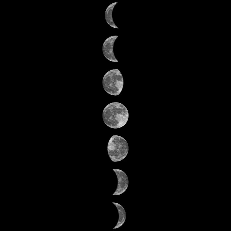 The lunar cycle