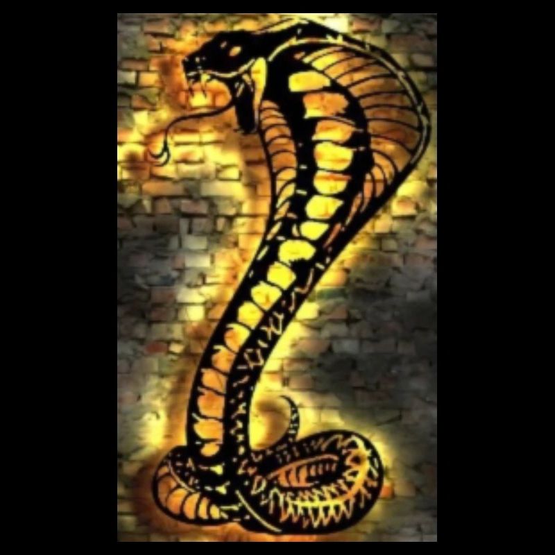 Snake cobra