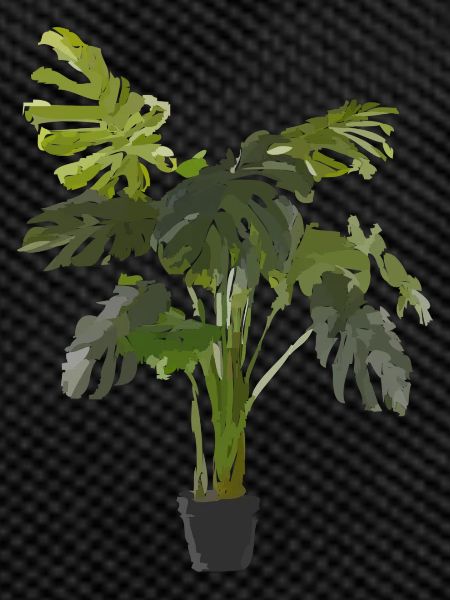 Indoor plant