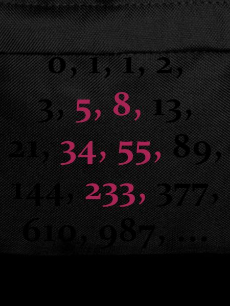 fibonacci sequence (2c)
